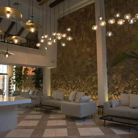 Camel Dive Club & Boutique Hotel