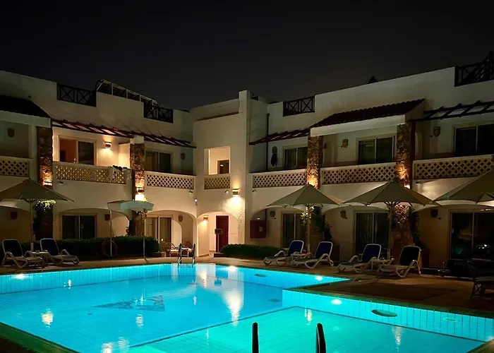 Camel Dive Club & Boutique