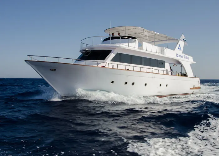 Camel Dive Club & Boutique 4* Şarm El-Şeyh