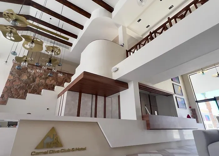 Resort Camel Dive Club & Boutique 4*
