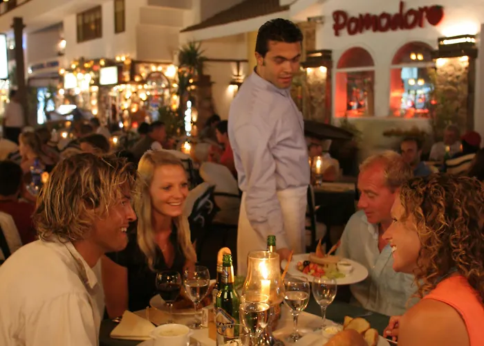 Camel Dive Club & Boutique Resort