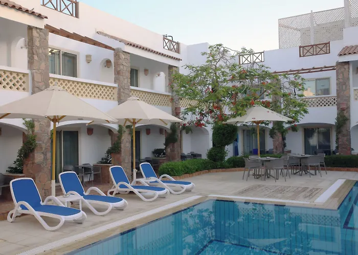 Camel Dive Club & Boutique Resort