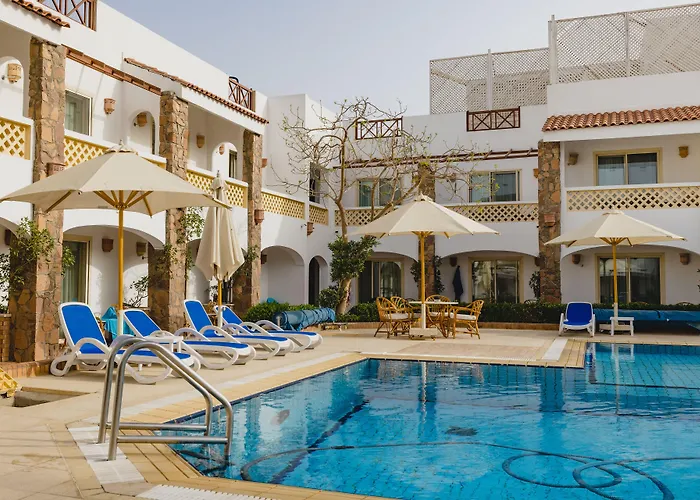 Camel Dive Club & Boutique