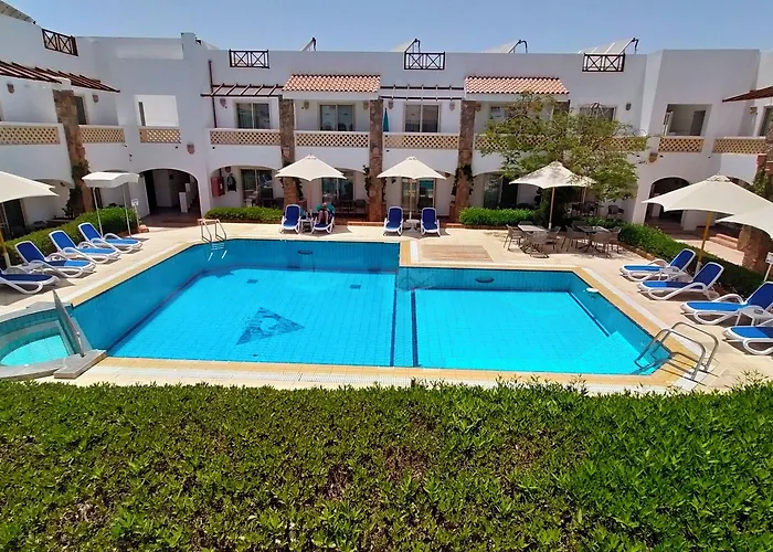 Camel Dive Club & Boutique Resort 4*