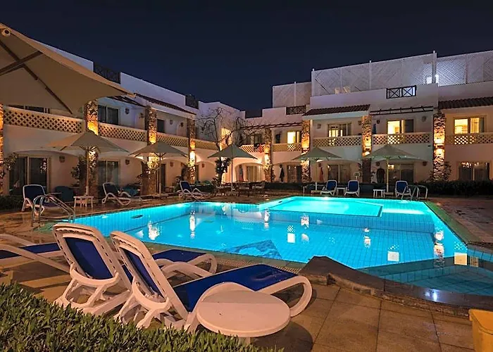 Camel Dive Club & Boutique