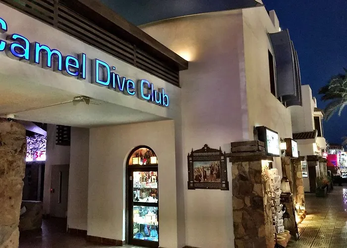 Camel Dive Club & Boutique Resort