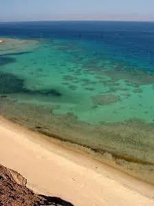 Camel Dive Club & Boutique Resort